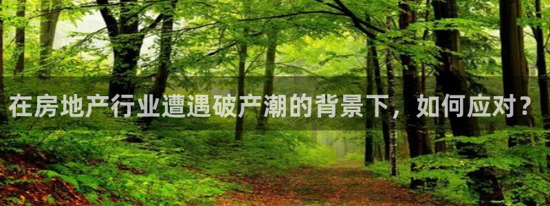 万向娱乐平台注册条件要求