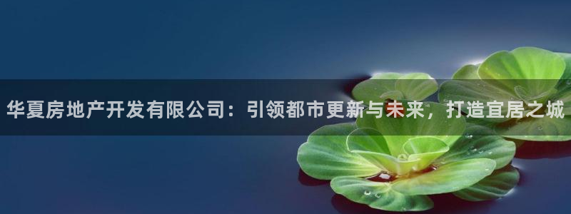 万向娱乐官网网址