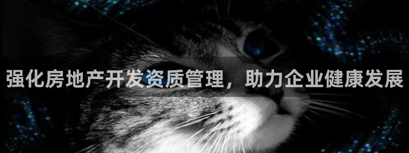 万向娱乐平台注册流程及费用