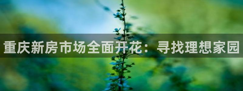 万向娱乐网址是什么