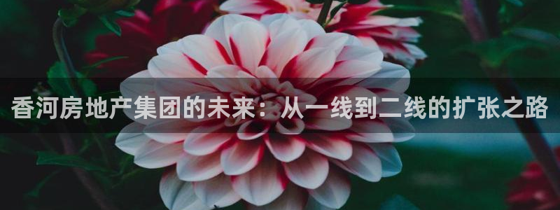 万向娱乐平台注册流程