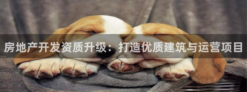 万向娱乐平台代理怎么样赚钱