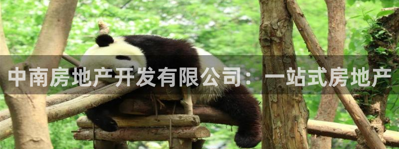 万向娱乐注册开户要多久