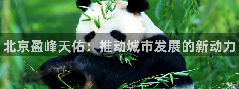 万向娱乐怎么样