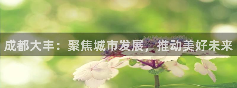 万向娱乐官网网址