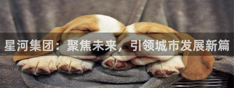 万向娱乐公司官网首页