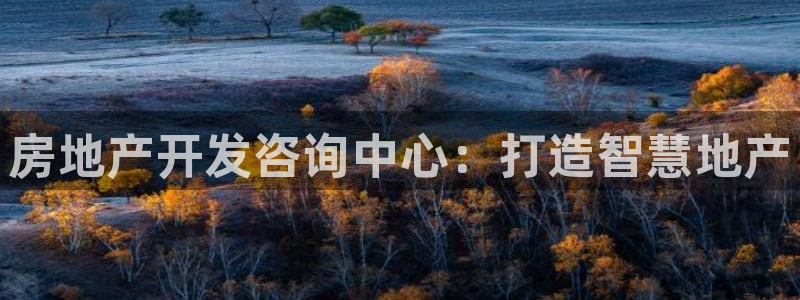 万向娱乐挂机软件