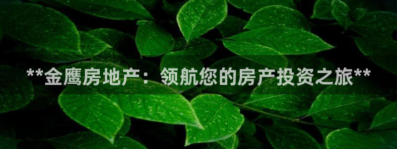 万向娱乐平台注册流程及费用