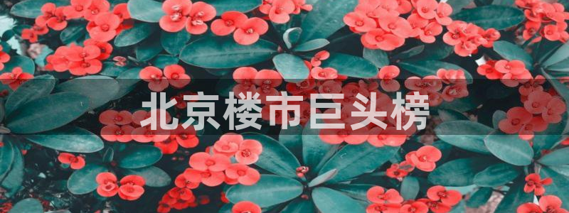 万向娱乐平台注册条件要求