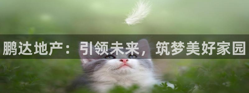 万向娱乐注册开户需要什么