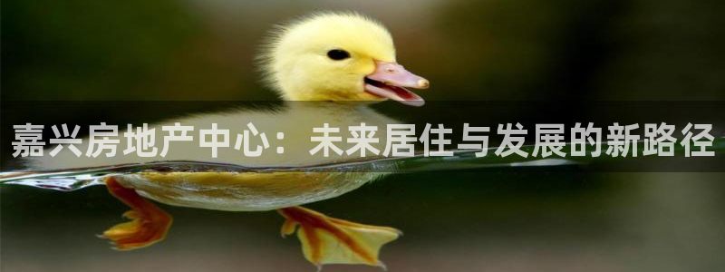 万向娱乐挂机软件