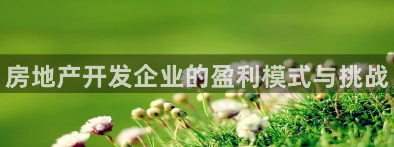 万向娱乐平台代理多少钱一个