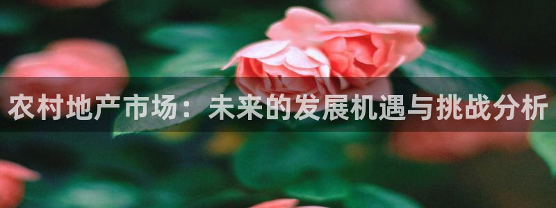 万向娱乐平台代理怎么样