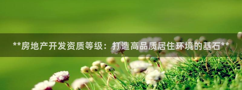 万向娱乐平台代理多少钱一个月