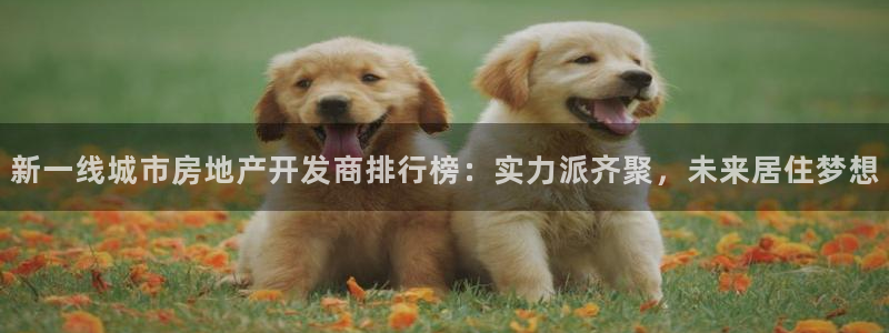 万向娱乐灯333OO