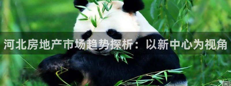 万向娱乐官网下载安装最新版