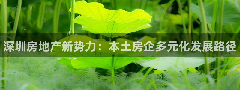 万向娱乐官网网址大全