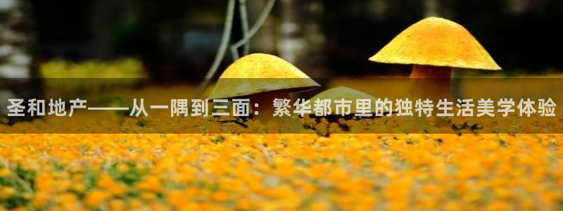 万向娱乐网址是什么