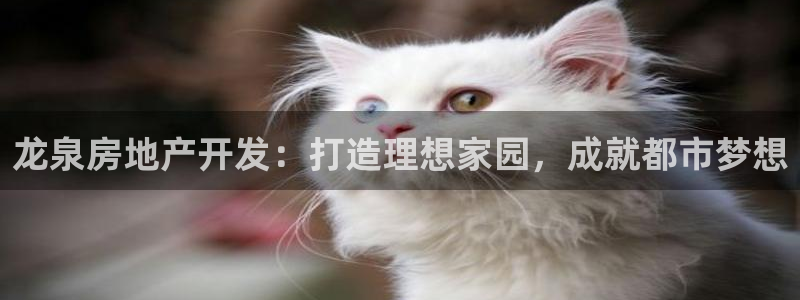 万向娱乐登陆官网下载