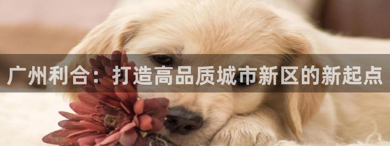 万向娱乐官网下载安装