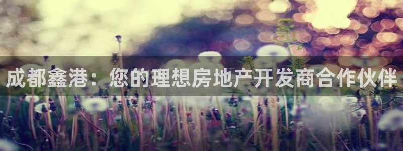 万向娱乐登陆官网