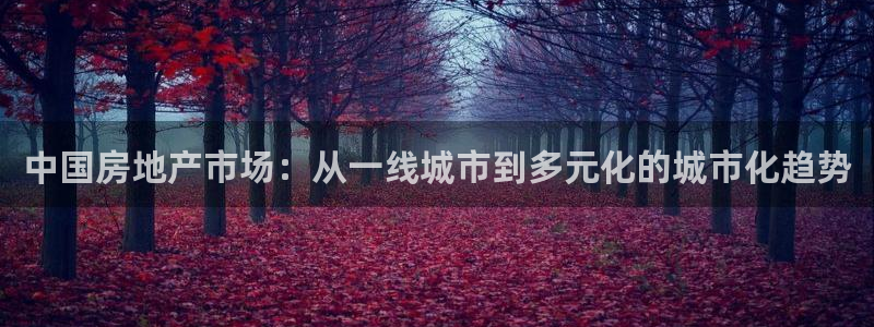 万向娱乐注册登录不了账号