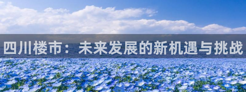 万向娱乐平台注册条件是什么