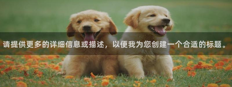 万向娱乐官网网址是什么