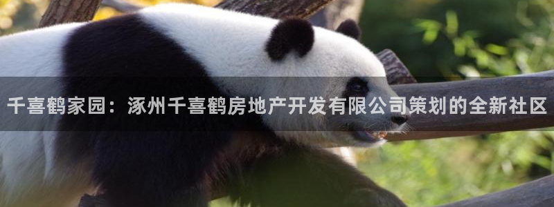 万向娱乐官网下载