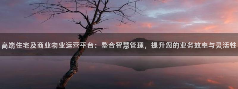 万向娱乐网址是什么